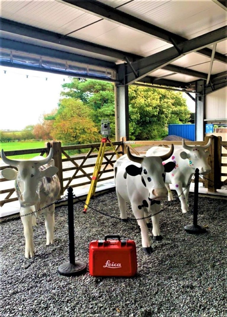 Beefy Surveying in Ulverston