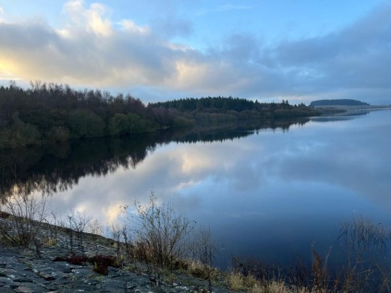 Bowland Forest Surveying 4
