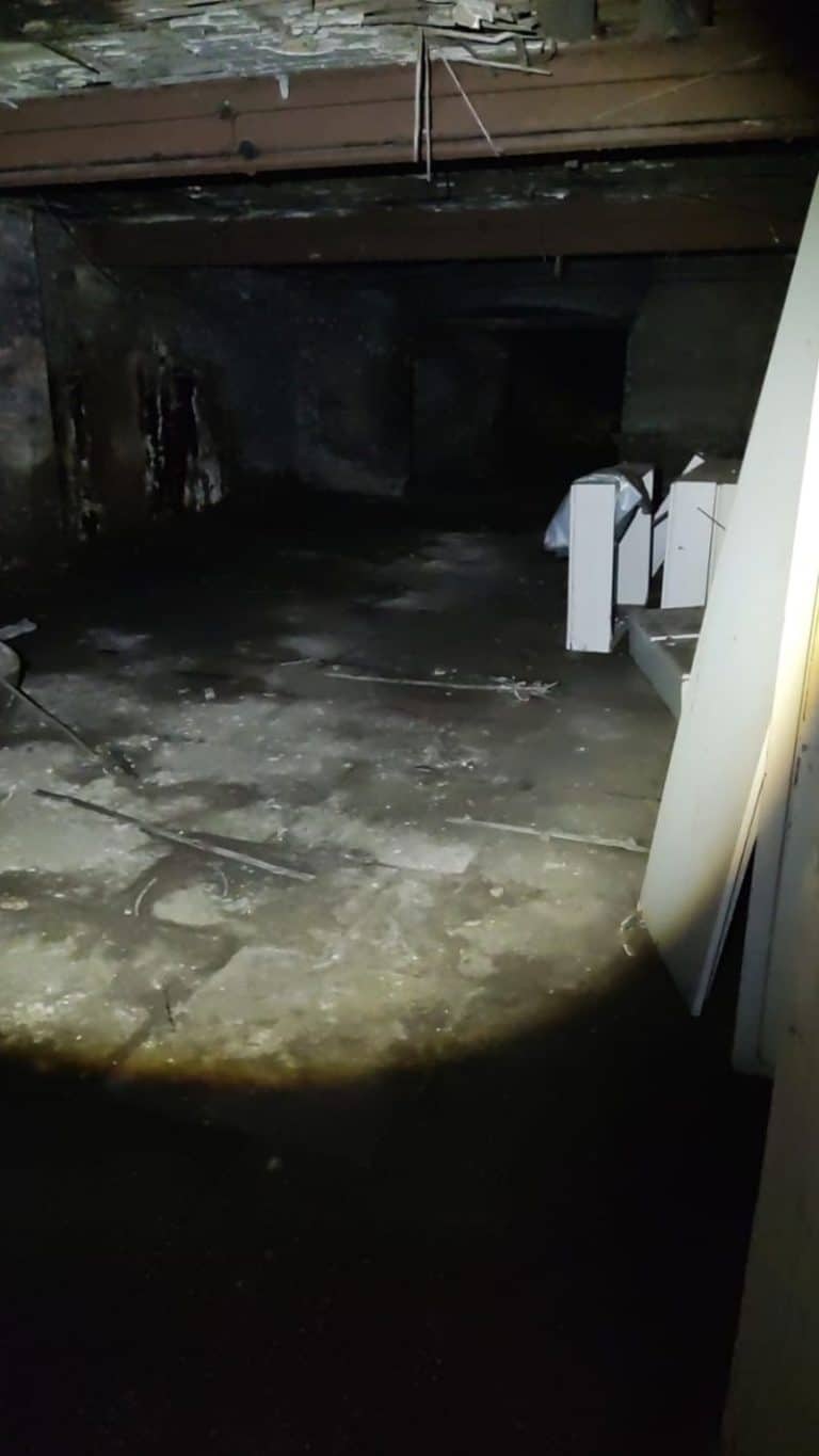 Sheffield Building Survey 1