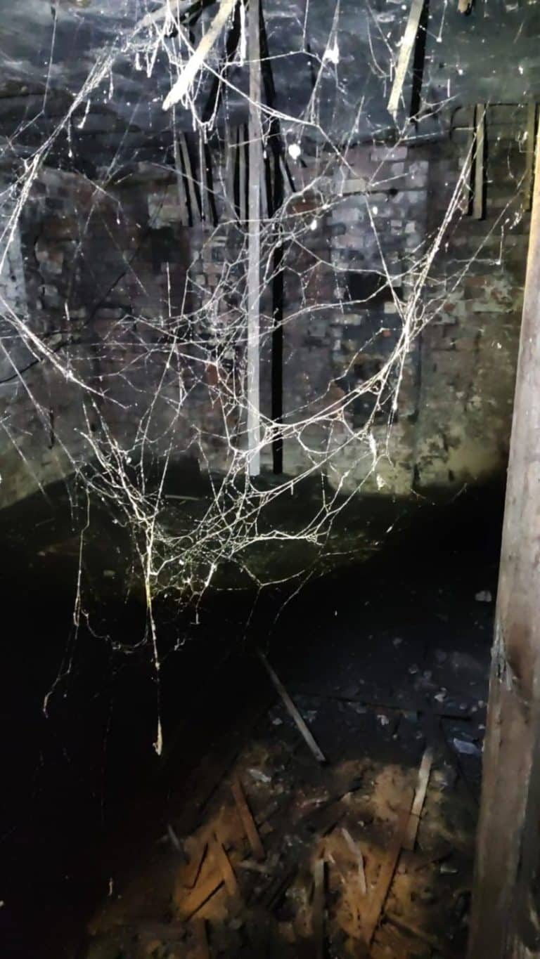 Sheffield Building Survey 2