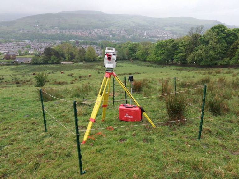 Disruptive Cows in Rawtenstall