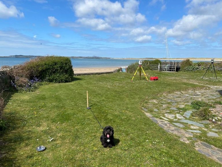 International Branching Out to Anglesea