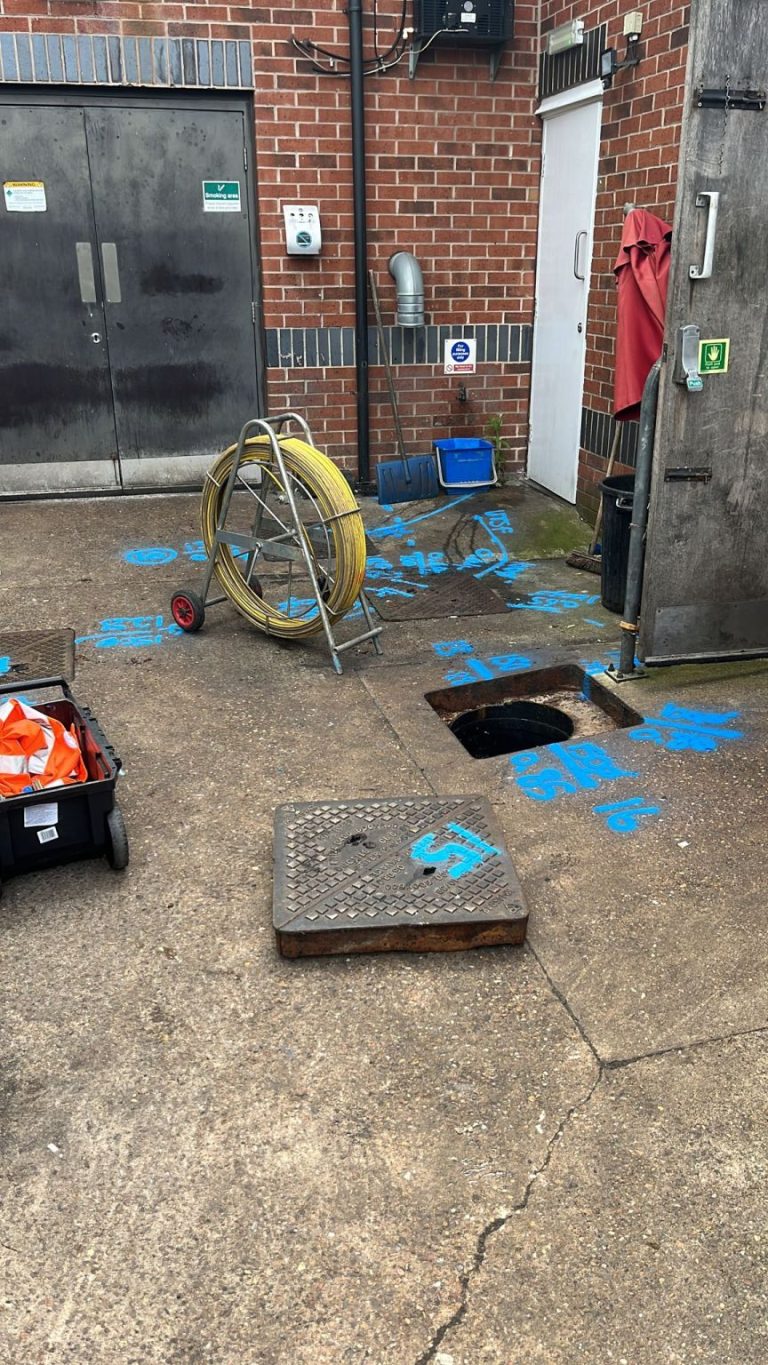 The Week of Sunny Surveys 3